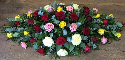 Mixed Roses