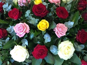 Mixed Roses