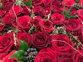 Red Roses