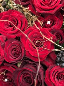 Red Roses