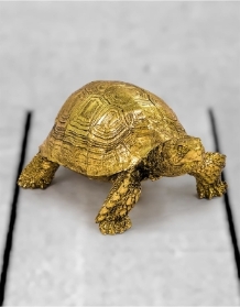 Vintage gold tortoise